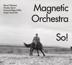 Magnetic Orchestra